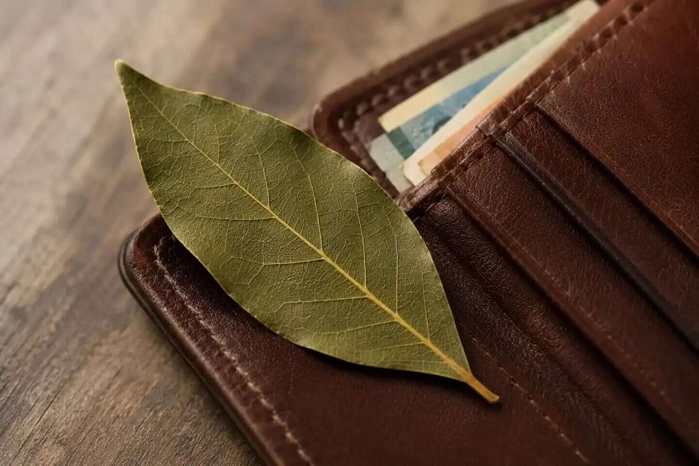 Hoja de laurel sobre una billetera de cuero marrón