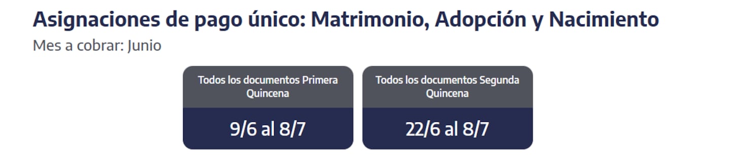 Información sobre asignaciones de pago único para junio de ANSES