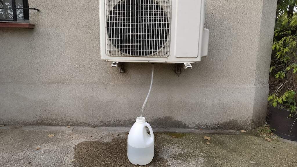 Planta regada con agua del aire acondicionado