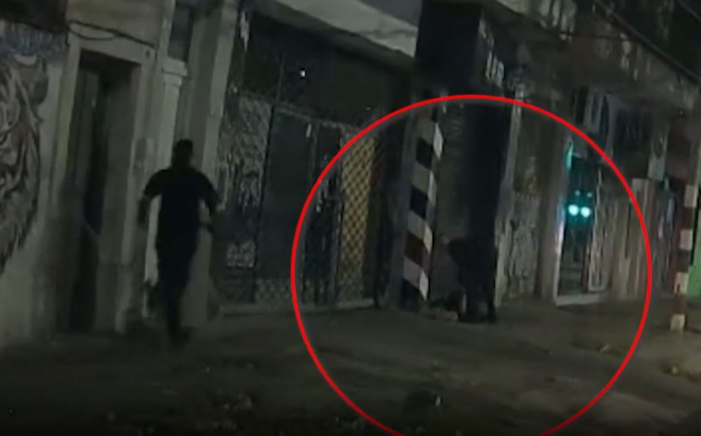 Detención de Sergio Alejandro Sena, sospechoso del asesinato del florista en San Isidro