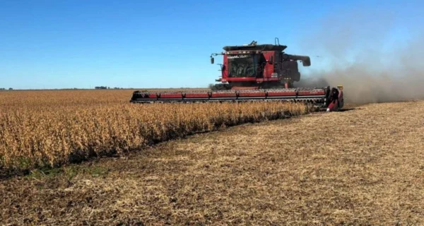 Campo argentino en producción