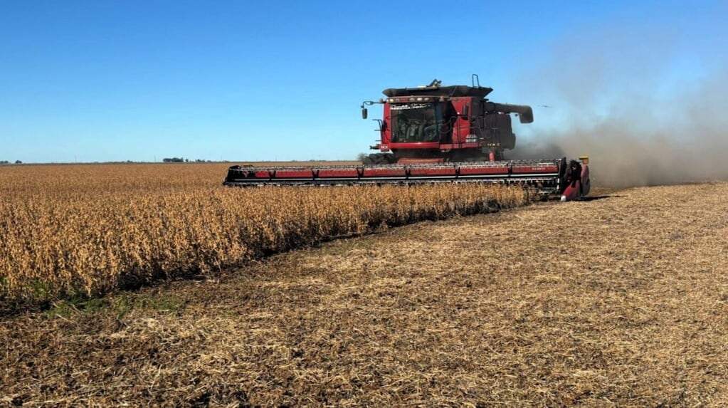 Campo argentino en producción