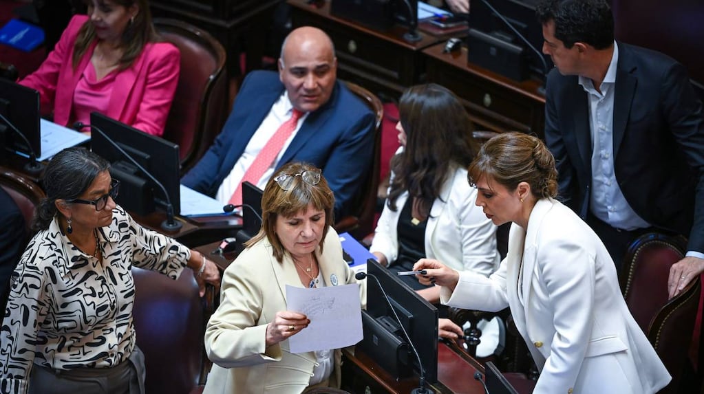 Patricia Bullrich en el Senado