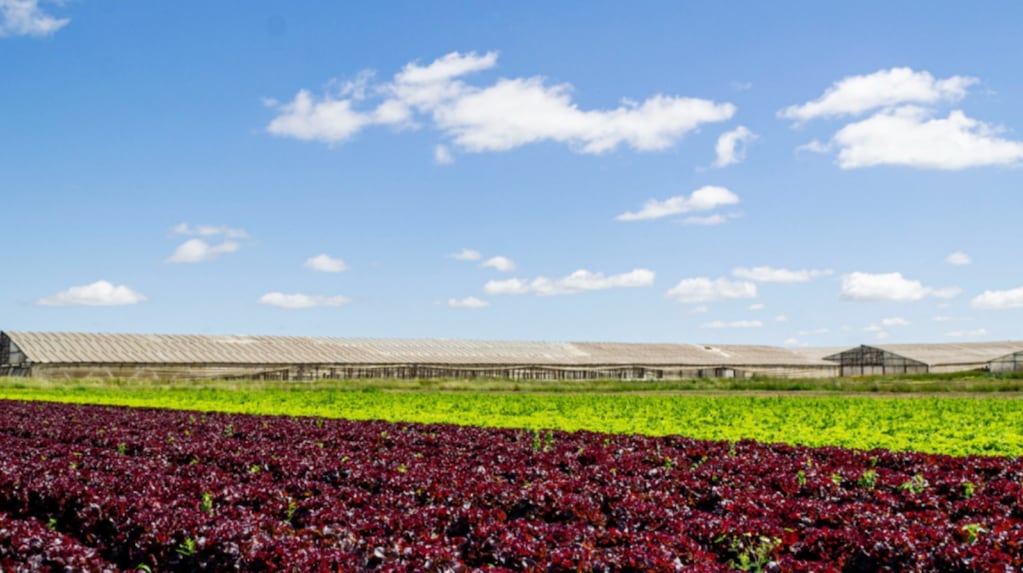 Manual de Producción Integrada del INTA
