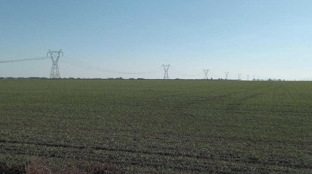 Campo agrícola en Argentina