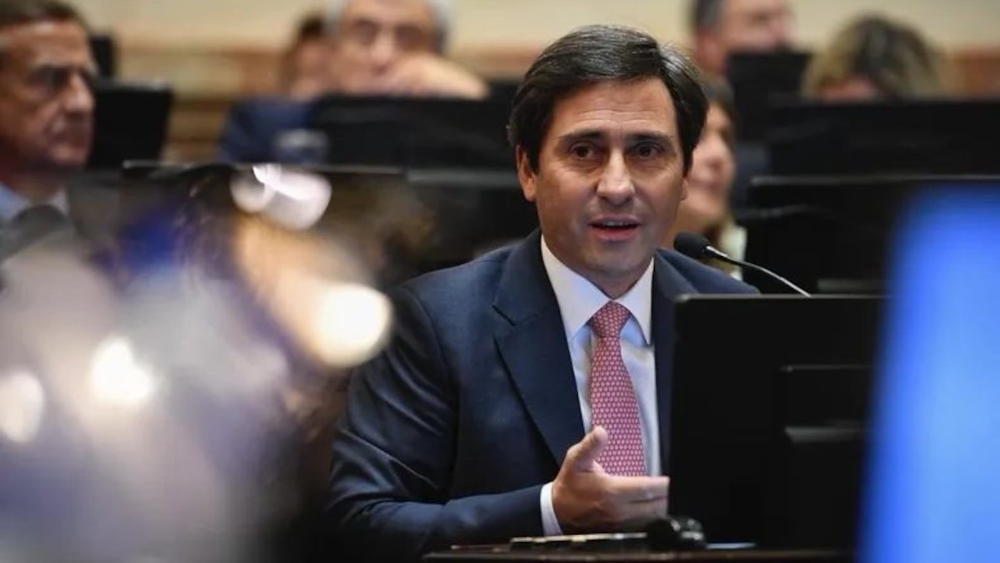 Martín Goerling, líder del PRO, durante una sesión en el Senado