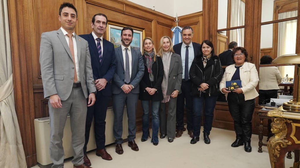 Reunión del Senado argentino con Manuel Adorni