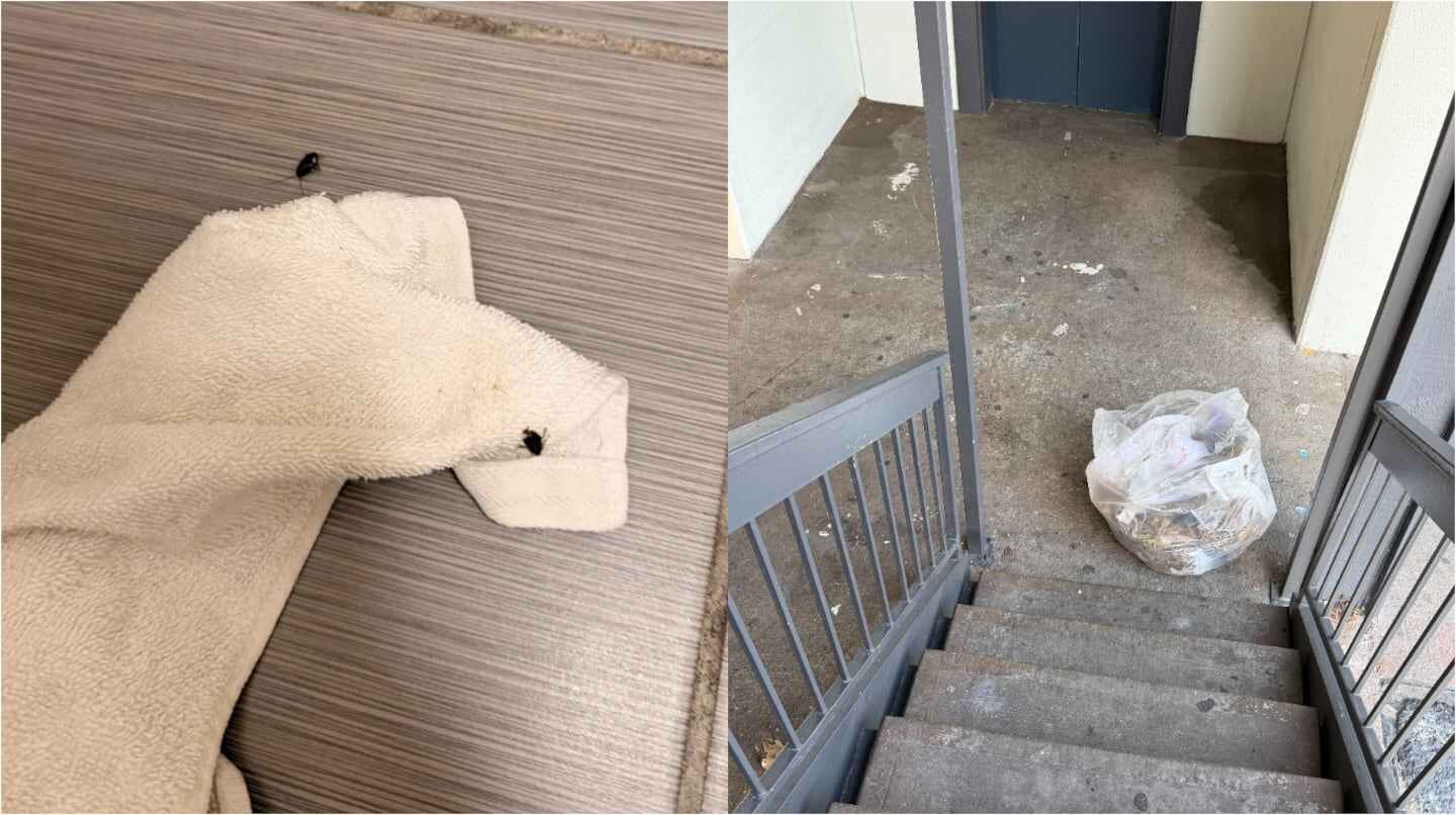 Toalla sucia y basura en el pasillo de un departamento en Dallas