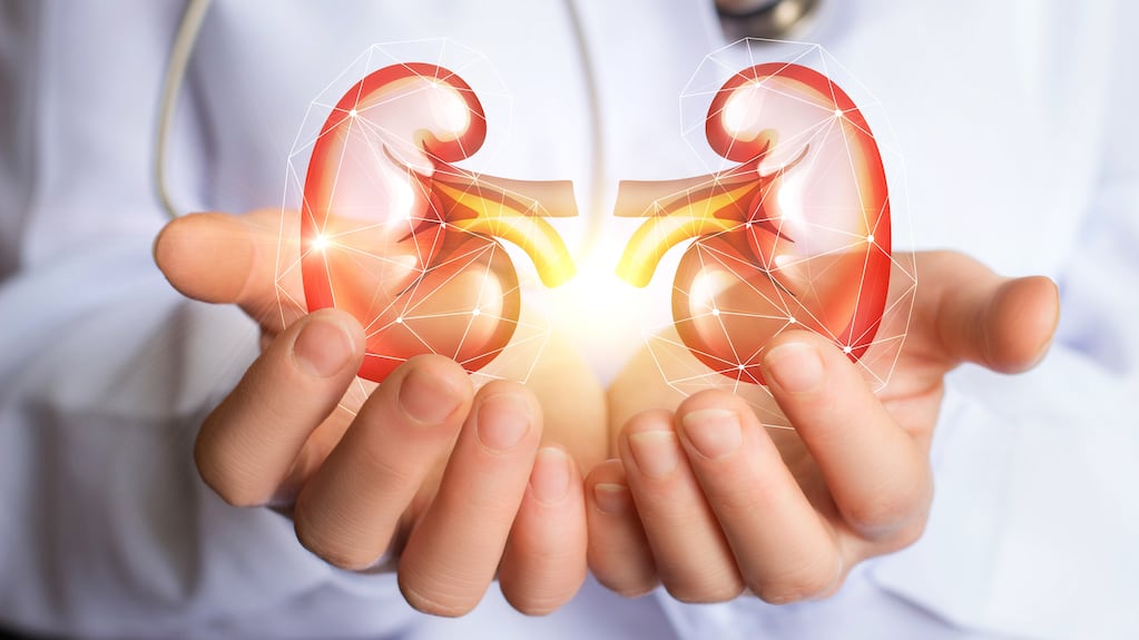 Médicos realizando un trasplante renal pediátrico en Buenos Aires