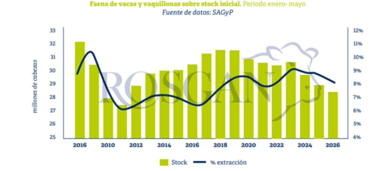 Gráfico que muestra la evolución del stock de vacas y la tasa de extracción en Argentina entre 2016 y 2026