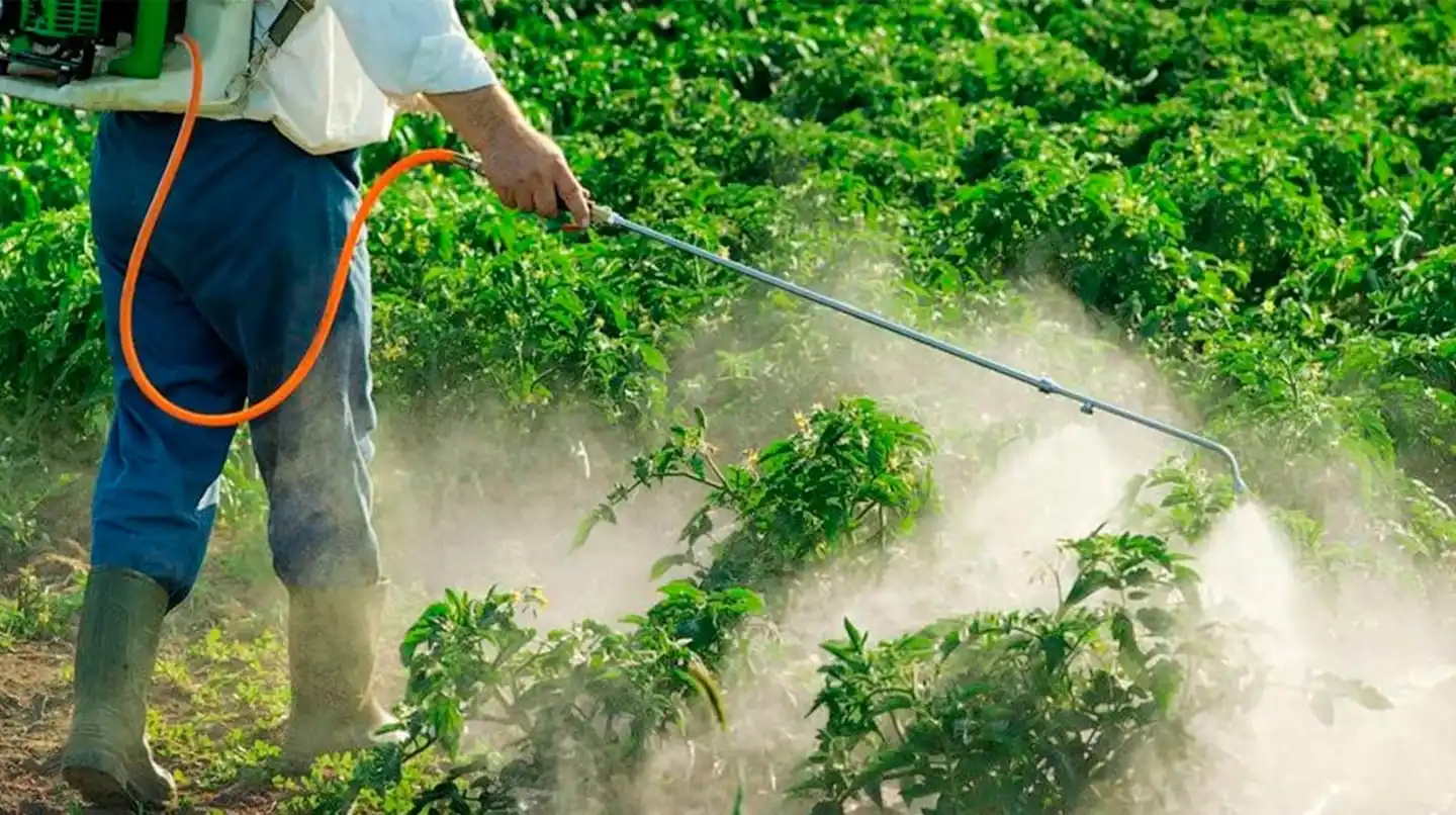 Agricultor aplicando glifosato en un campo de cultivos