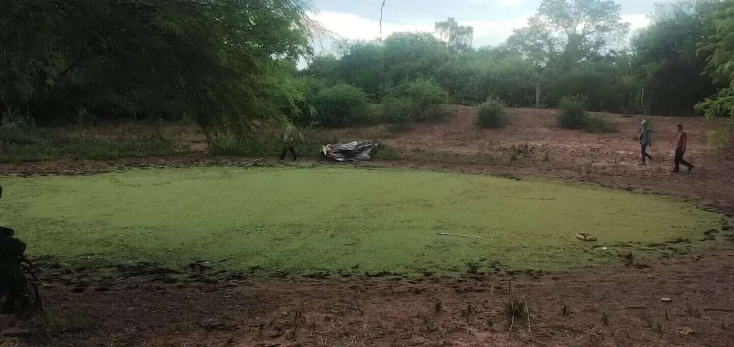Restos óseos y prendas halladas en un paraje de Salta