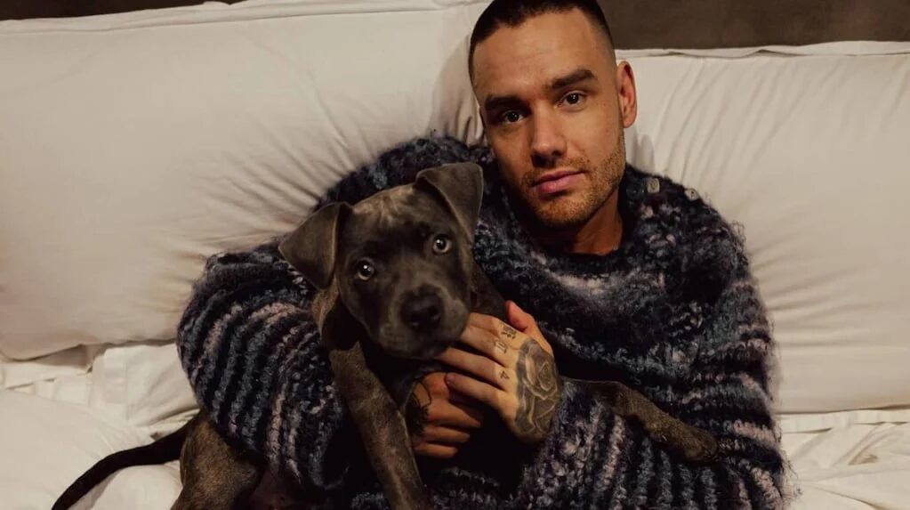 Liam Payne con su hijo Bear