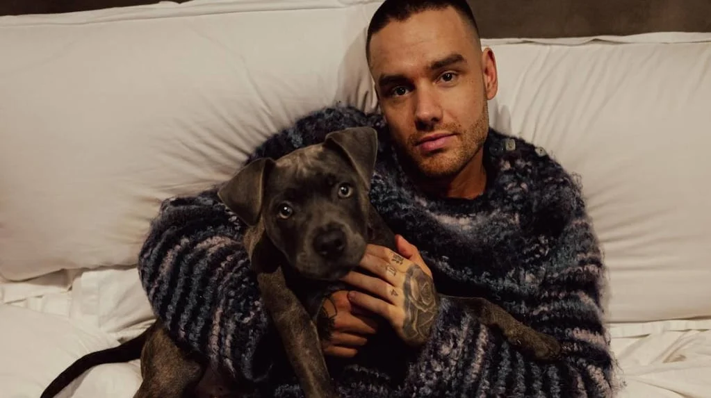 Liam Payne con su hijo Bear