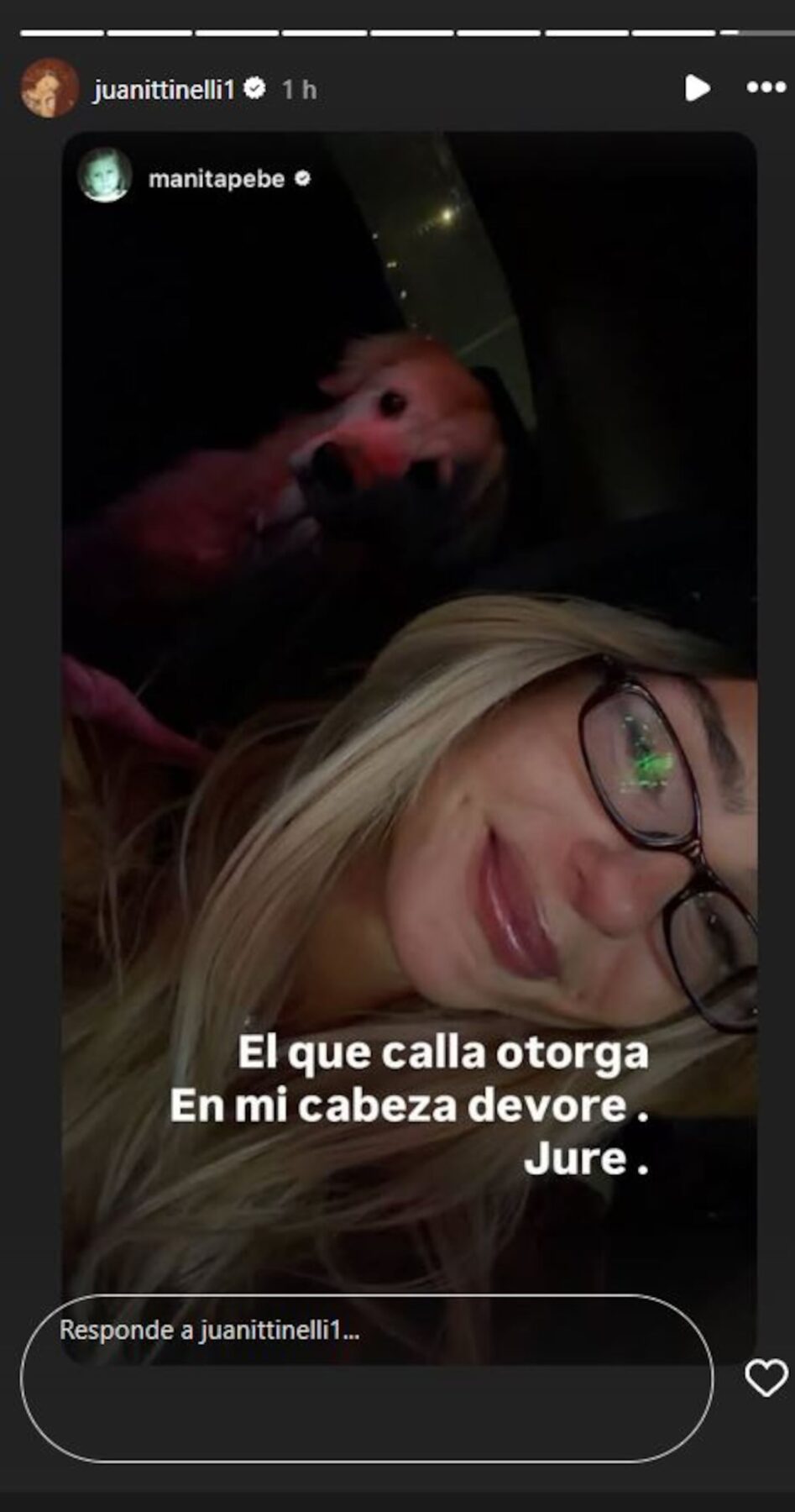 Juana Tinelli sonríe en un automóvil con un perro al fondo