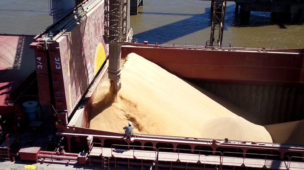 Agroindustria argentina