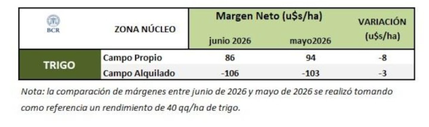 Tabla de márgenes netos de trigo en la zona núcleo de Argentina entre junio y mayo de 2026