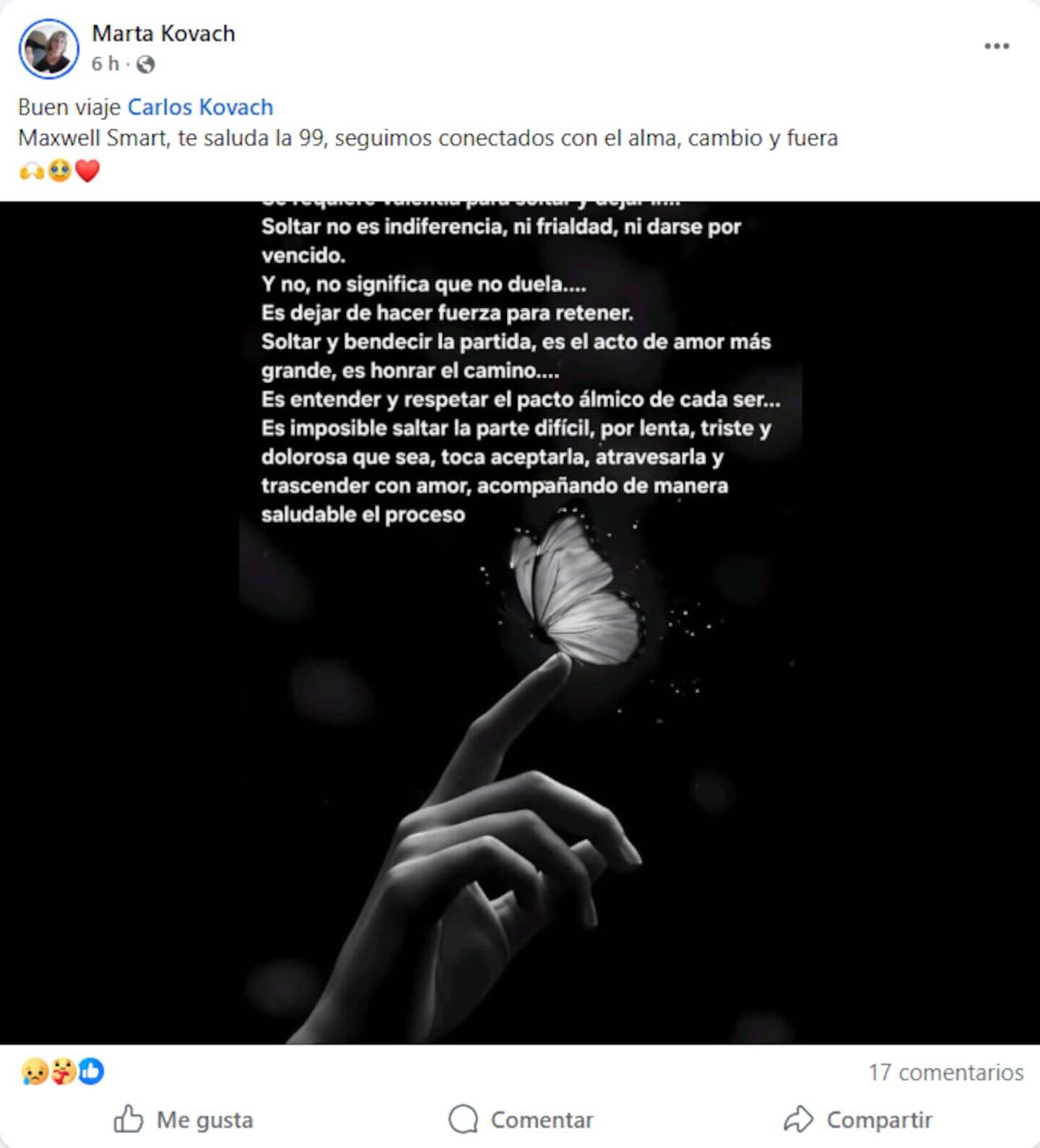 Mano sosteniendo una mariposa blanca sobre un fondo oscuro