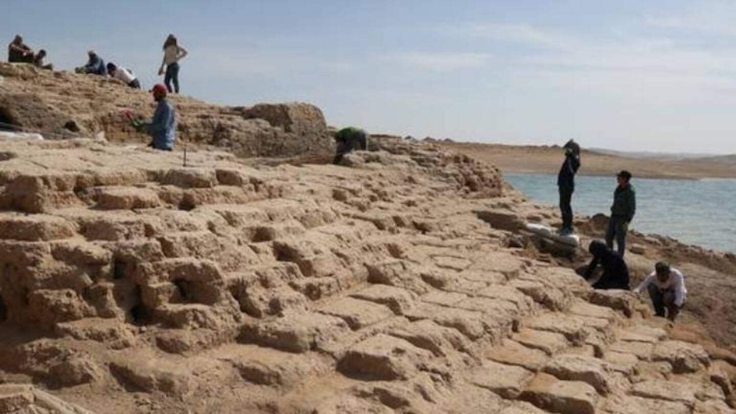 Excavaciones arqueológicas en un sitio histórico junto al agua