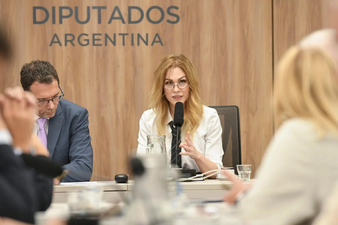 Reunión de dirigentes de La Libertad Avanza en Río Gallegos