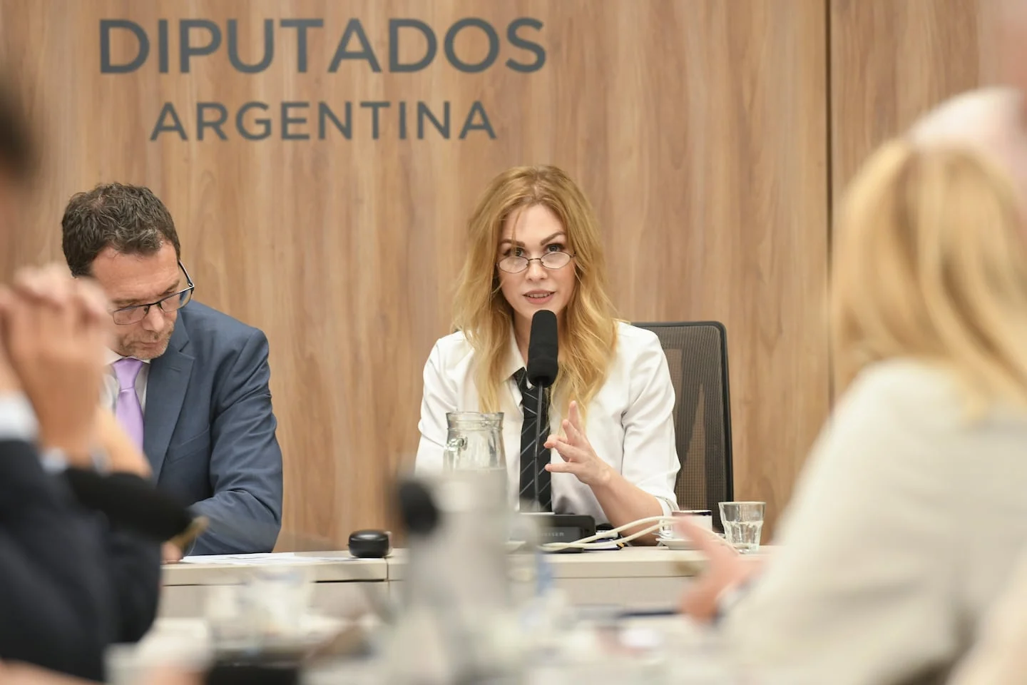 Reunión de dirigentes de La Libertad Avanza en Río Gallegos