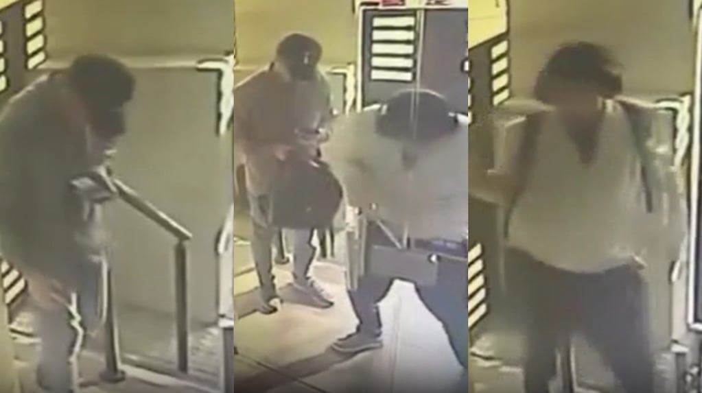 Robo en departamentos en La Plata