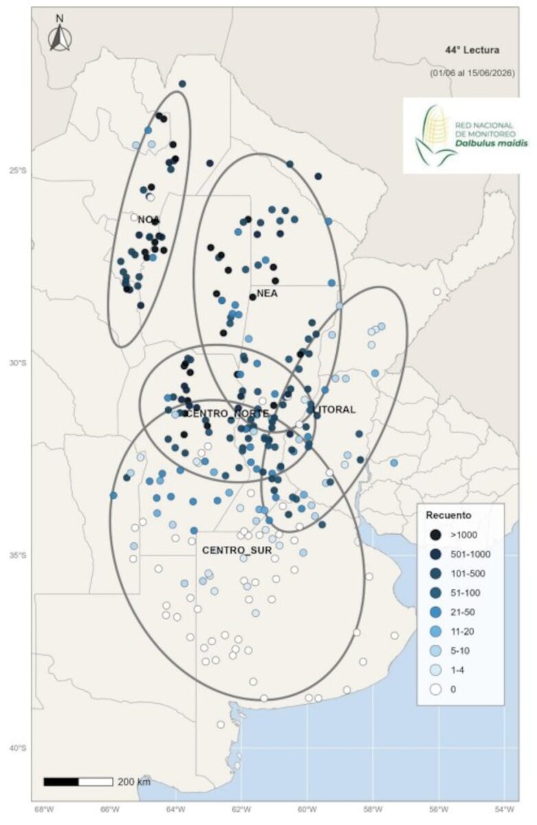 Mapa de distribución de poblaciones de chicharrita en Argentina