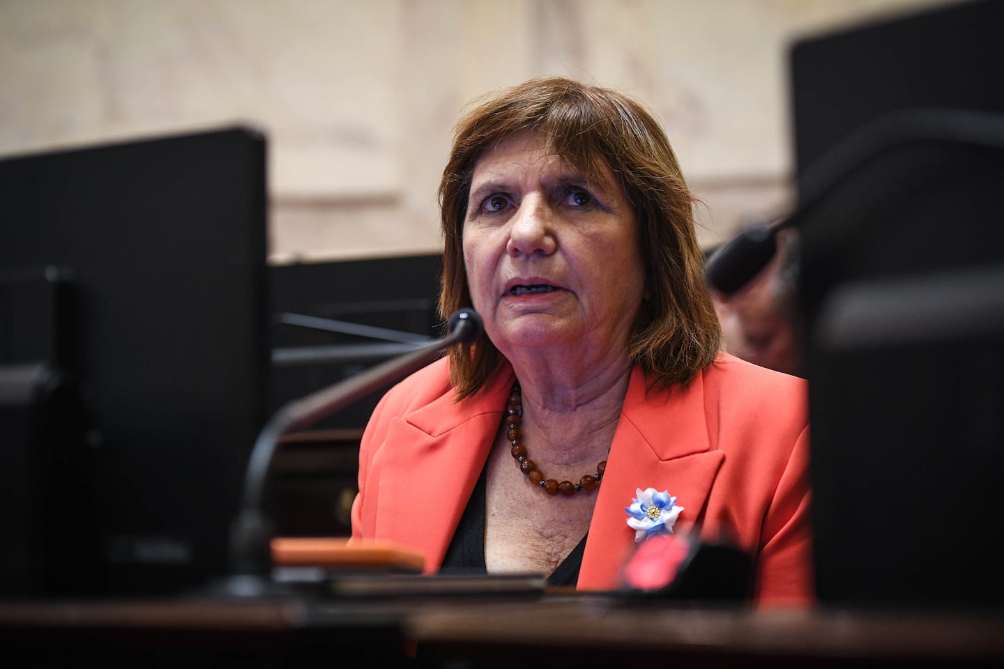 Patricia Bullrich en el Congreso durante una sesión política