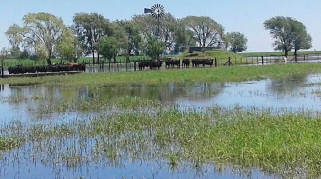 Obras de protección agropecuaria en el Litoral