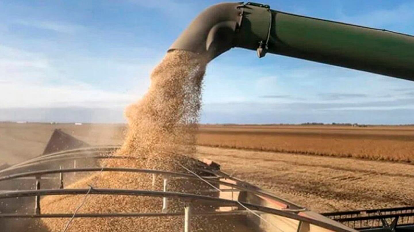 Grano siendo descargado de una cosechadora en un campo de Entre Ríos