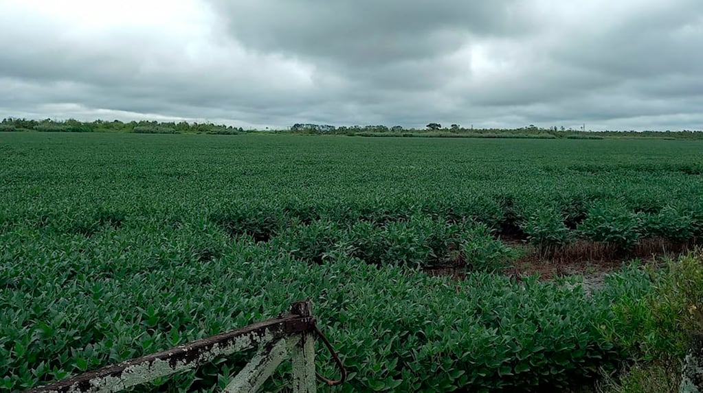 Pronóstico climático para el área agrícola