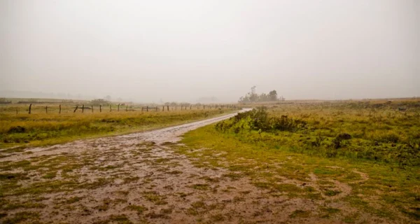 Pronóstico climático para el área agrícola argentina