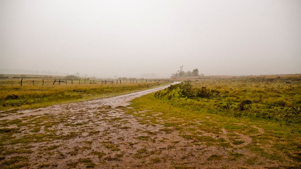 Pronóstico climático para el área agrícola argentina