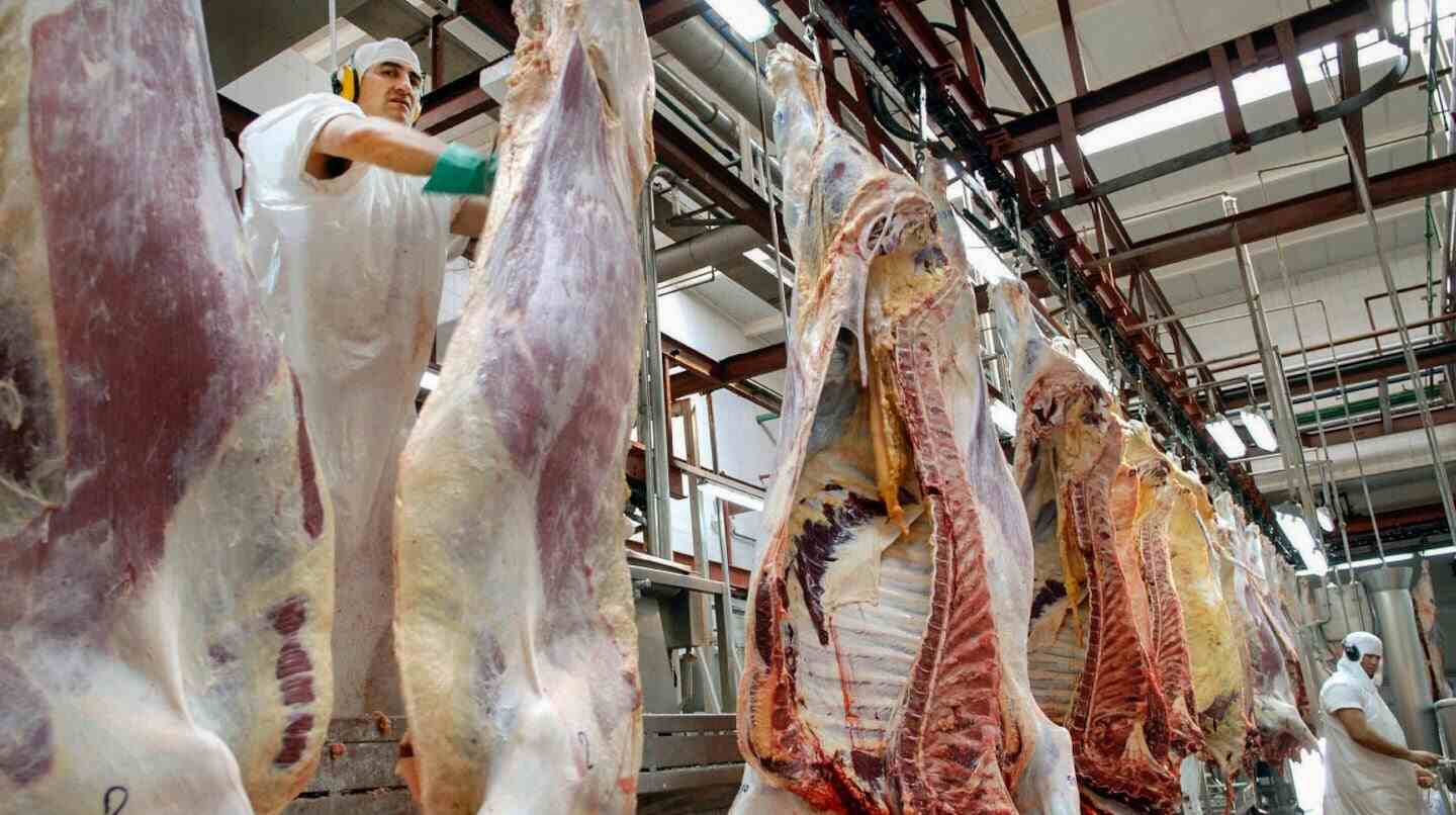 Trabajador en planta de procesamiento de carne bovina en Argentina