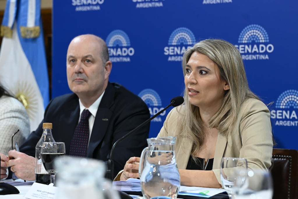 Federico Sturzenegger presenta la reforma de la Ley de Sociedades en el Senado