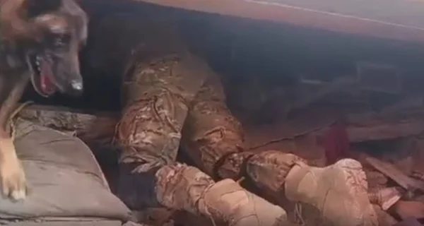 Perro de rescate argentino Bart en acción