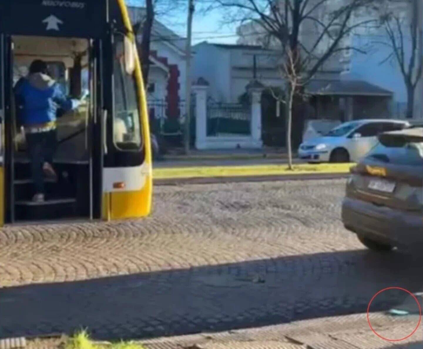 Pelea entre chofer y pasajero en colectivo de La Plata