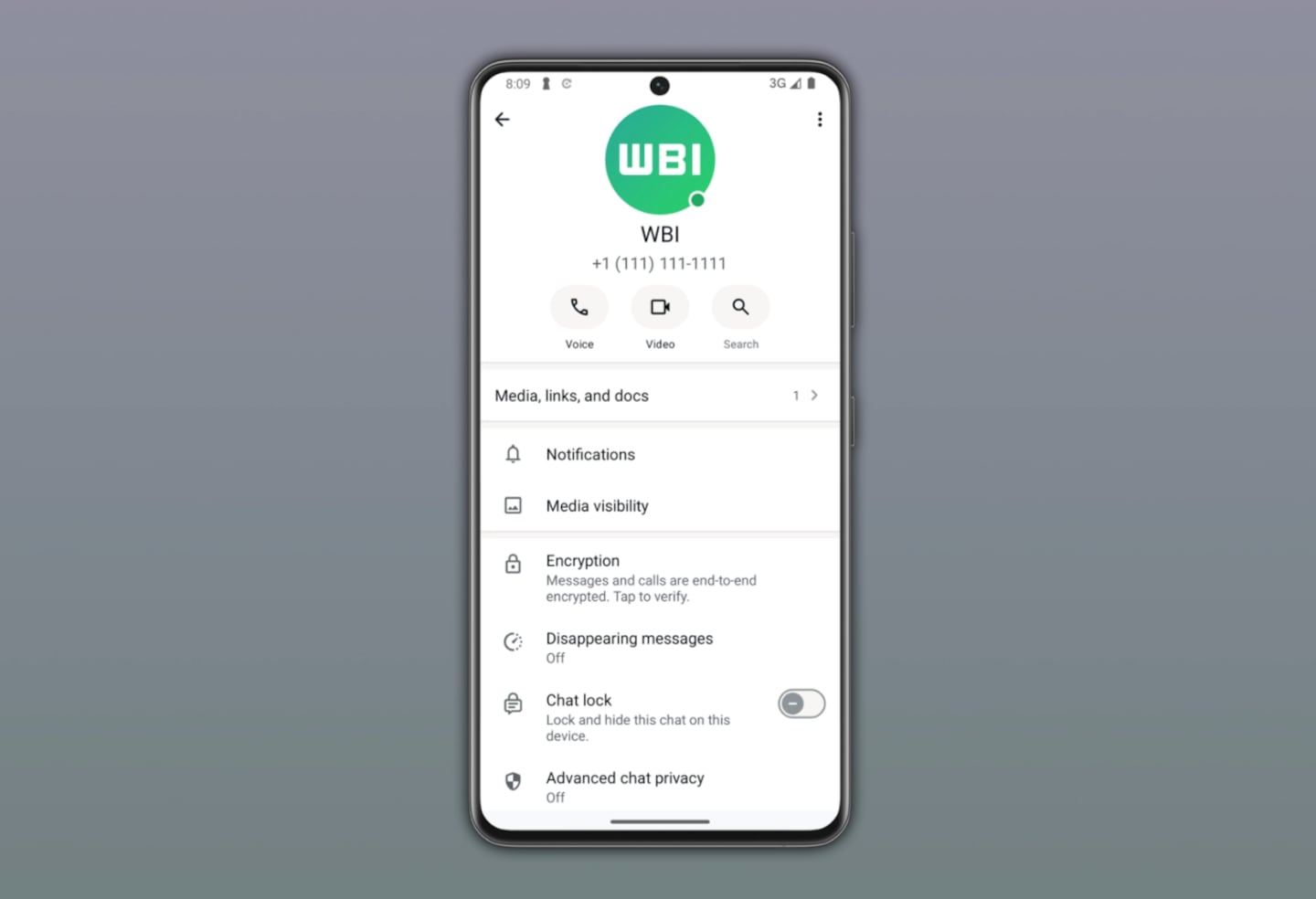 Interfaz de WhatsApp mostrando un nuevo indicador verde para usuarios en línea