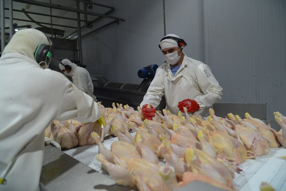 Trabajadores en planta procesadora de carne aviar en Argentina