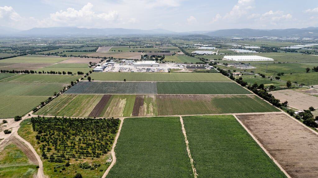 Cultivos agrícolas en EE. UU