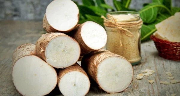 Bioplástico a base de mandioca y yerba mate