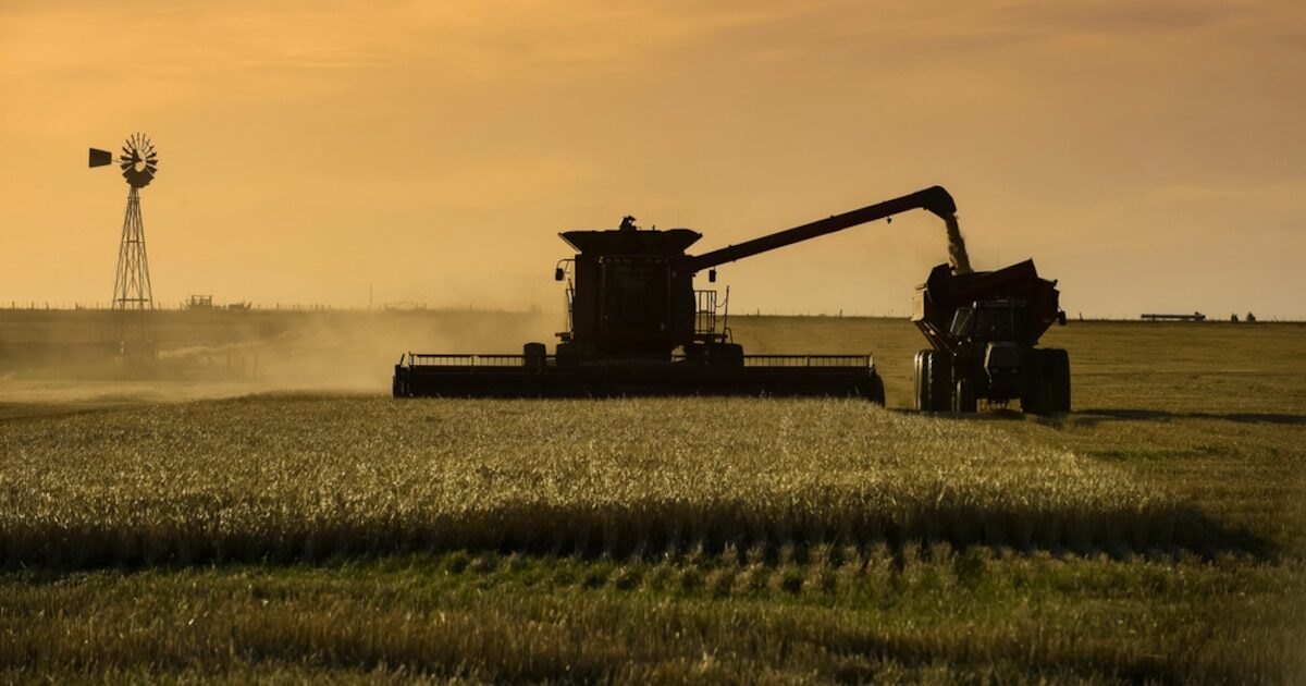 Debate sobre la compra de tierras en Argentina