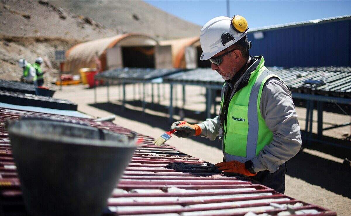 Trabajador de Vicuña en obra eléctrica en San Juan, Argentina