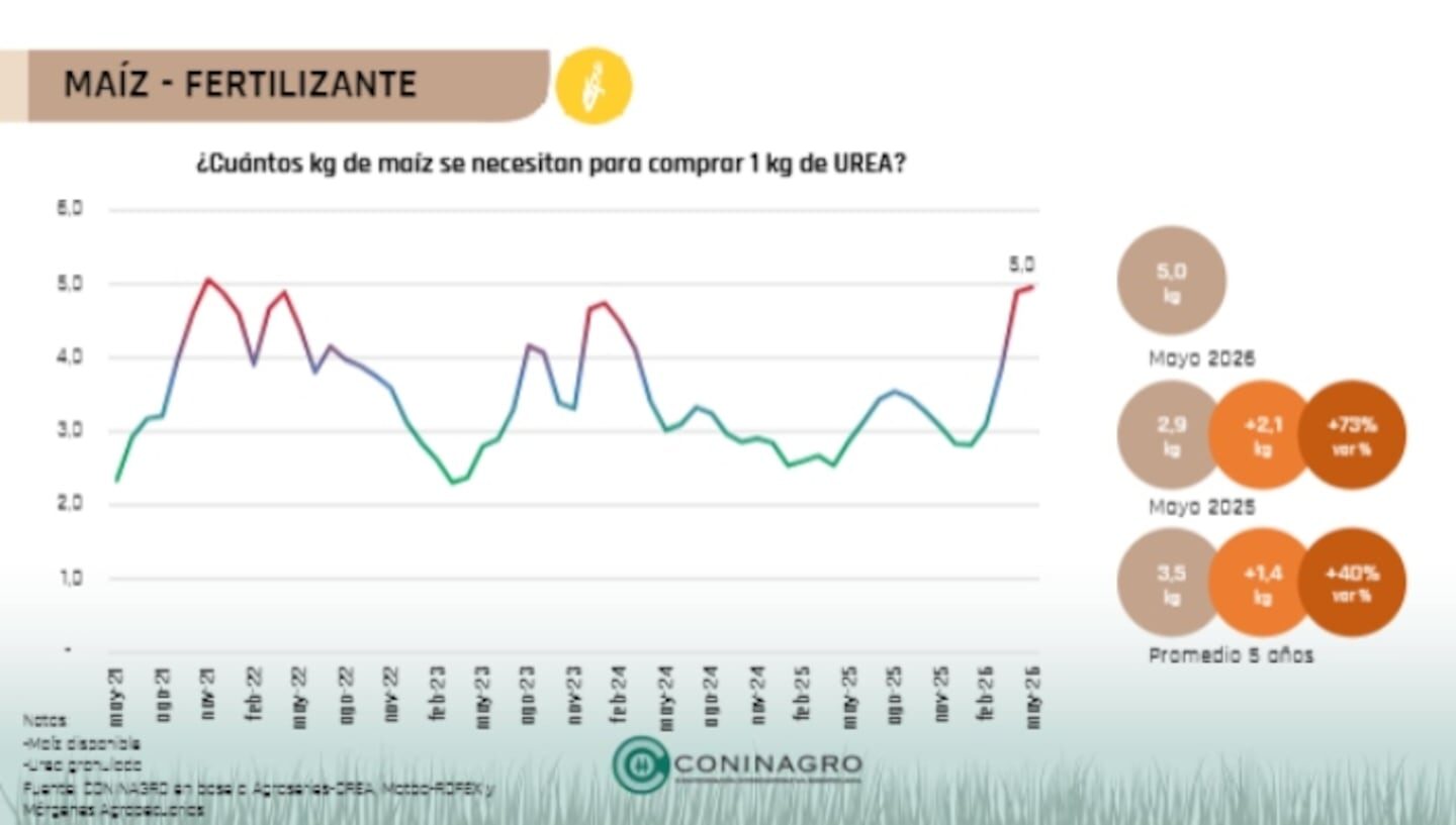Gráfico que muestra la relación entre el precio del maíz y la cantidad de maíz necesaria para comprar un kilogramo de urea