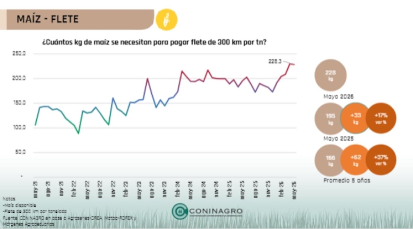 Gráfico que muestra la evolución del costo del flete del maíz en Argentina entre mayo de 2023 y mayo de 2026