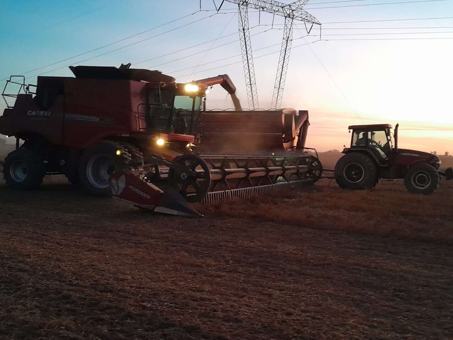 Cosechadora y tractor trabajando en un campo argentino al atardecer