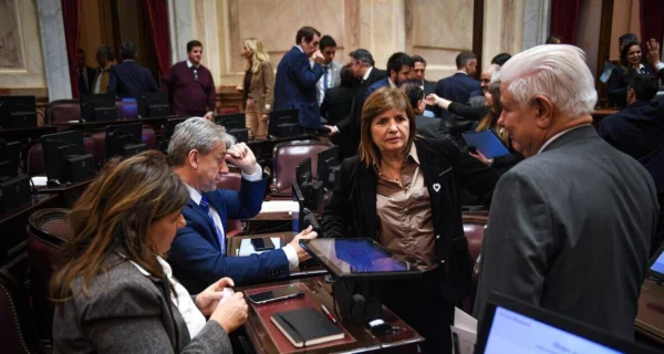 Reunión del Senado de la Nación para debatir el proyecto Súper RIGI