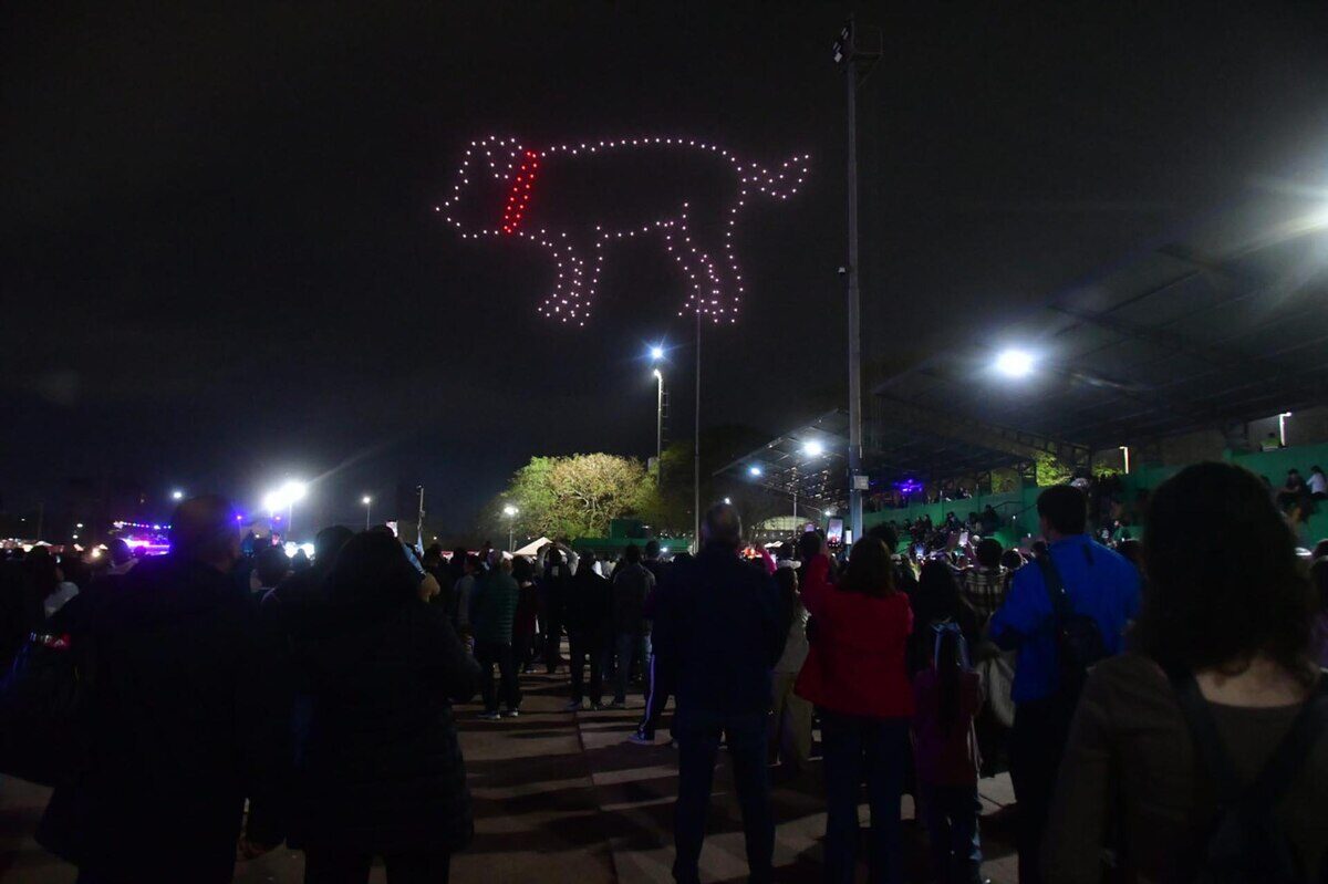 Espectáculo de drones en la Bienal de Esculturas del Chaco mostrando un perro iluminado en el cielo nocturno