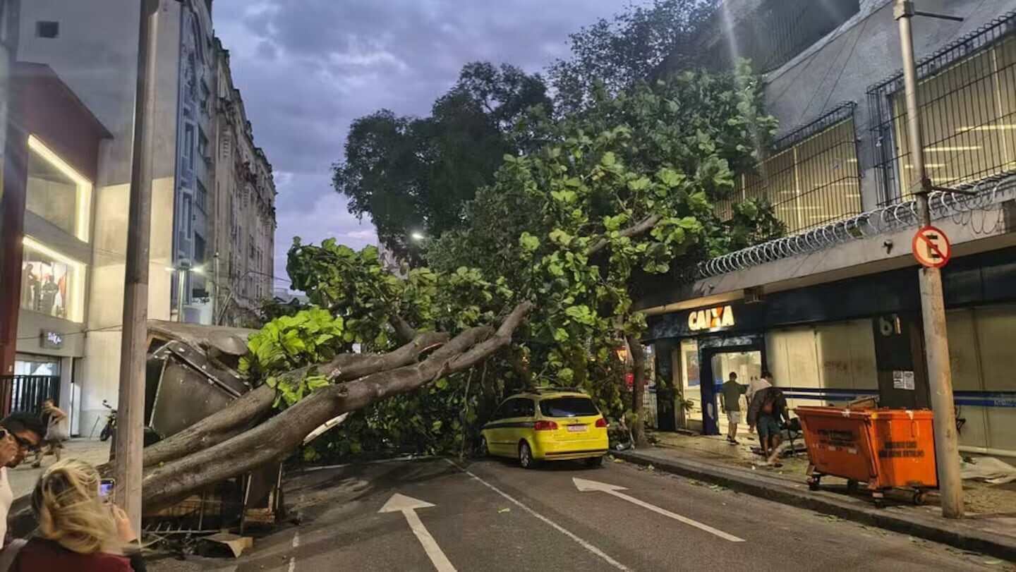 Árbol caído bloqueando una calle en Brasil tras un fuerte temporal