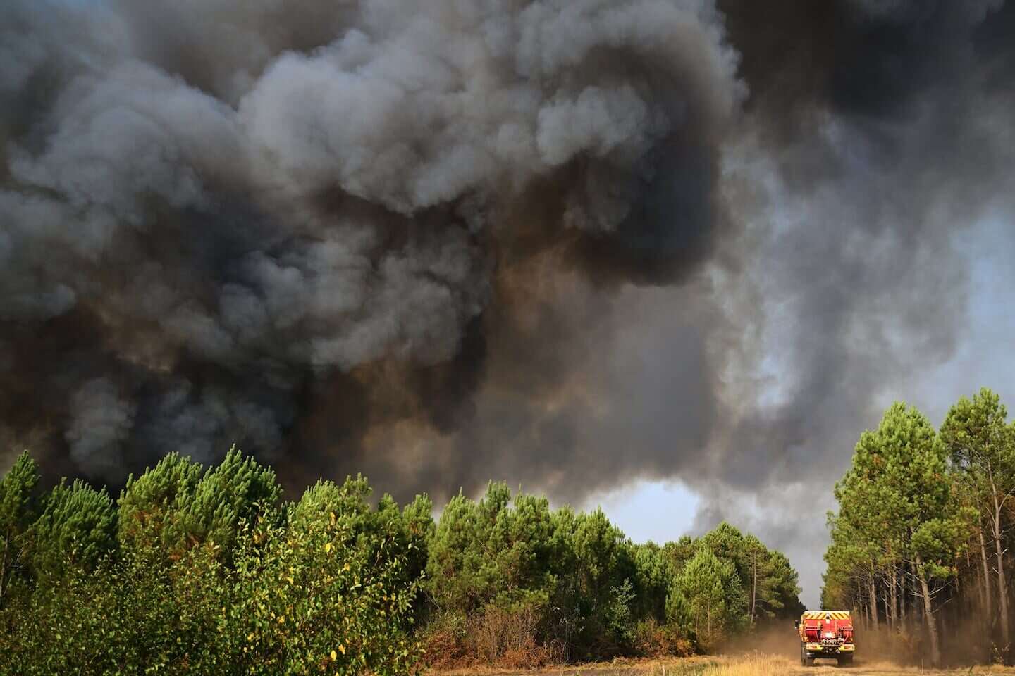 Nubes de humo oscuro sobre un bosque debido a incendios forestales